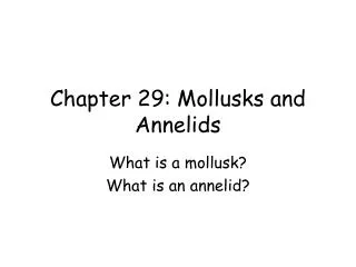Chapter 29: Mollusks and Annelids