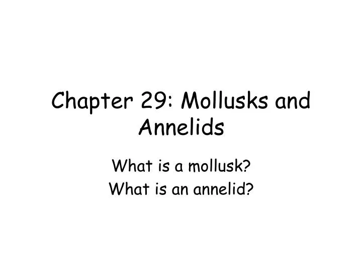 chapter 29 mollusks and annelids