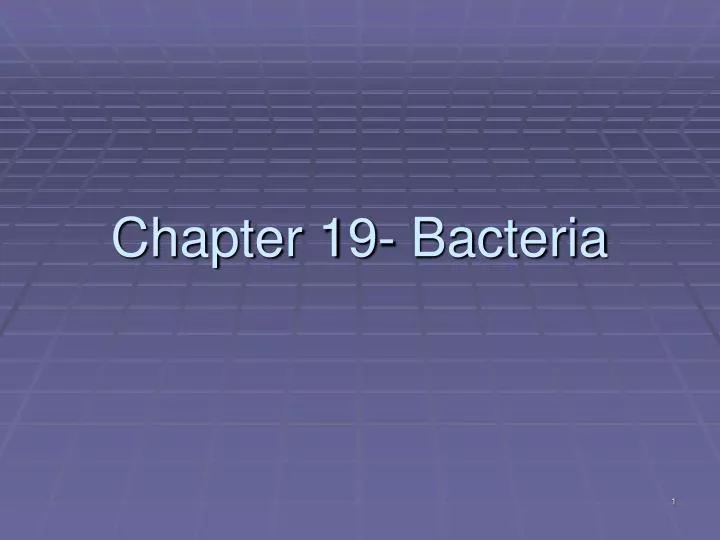 chapter 19 bacteria