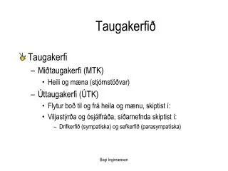 taugakerfi