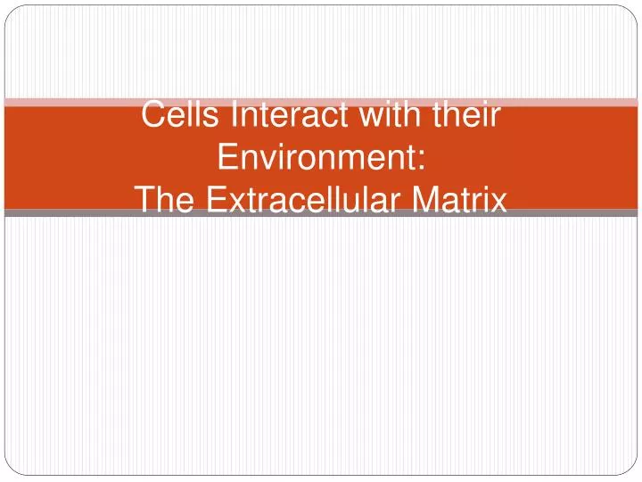 cells interact with their environment the extracellular matrix