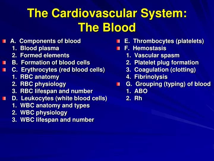 the cardiovascular system the blood