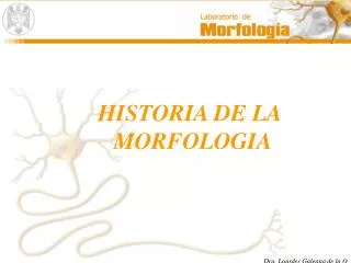 HISTORIA DE LA MORFOLOGIA
