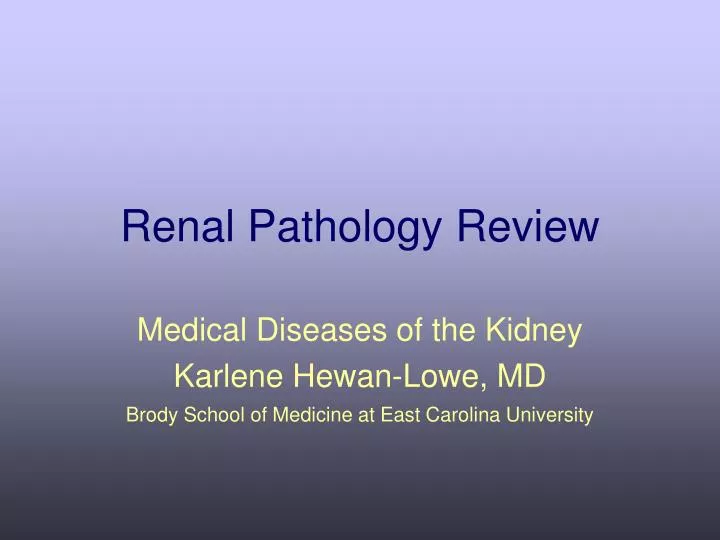 renal pathology review