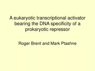 A eukaryotic transcriptional activator bearing the DNA specificity of a prokaryotic repressor