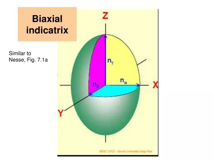biaxial indicatrix