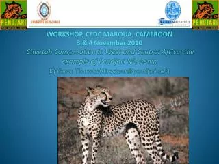 Cheetah Conservation in West and Central Africa; the example of Pendjari NP, Benin Djafarou Tiomoko(directeur@pendjari.n