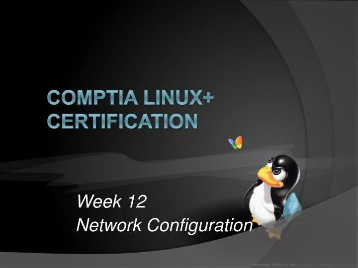 week 12 network configuration