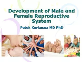 Development of Male and Female Reproductive System