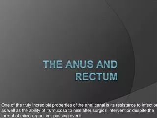 The Anus and Rectum