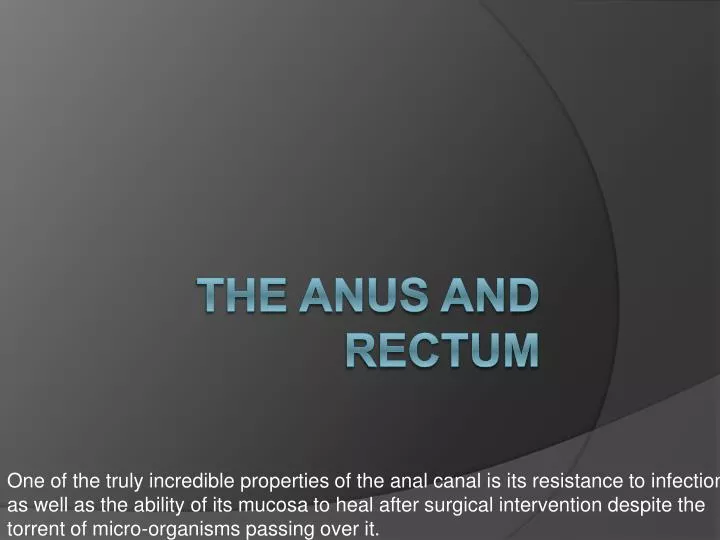 the anus and rectum
