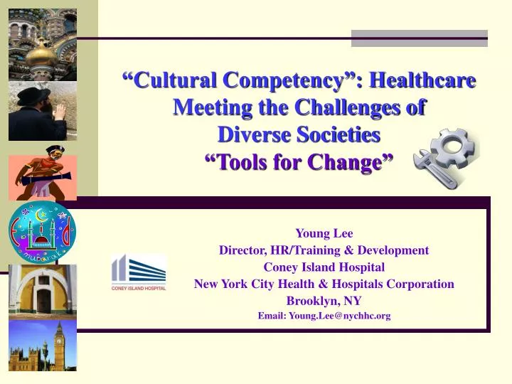 cultural competency healthcare meeting the challenges of diverse societies tools for change