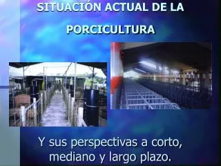 SITUACIÓN ACTUAL DE LA PORCICULTURA