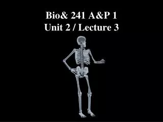 Bio&amp; 241 A&amp;P 1 Unit 2 / Lecture 3