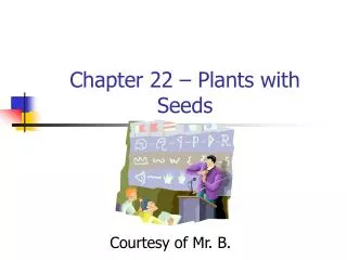 Chapter 22 – Plants with Seeds