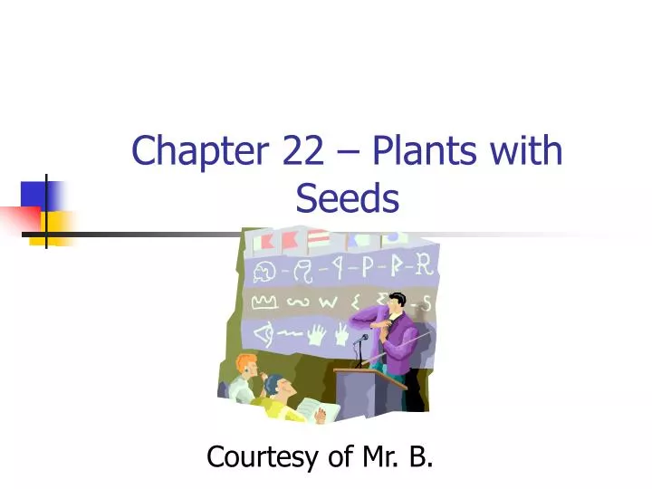 chapter 22 plants with seeds