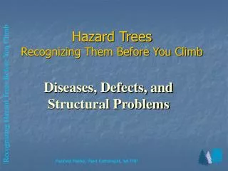 Hazard Trees Recognizing Them Before You Climb