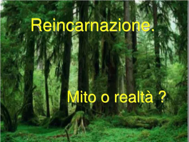 reincarnazione