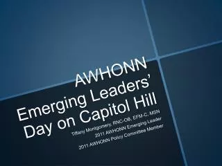 AWHONN Emerging Leaders’ Day on Capitol Hill