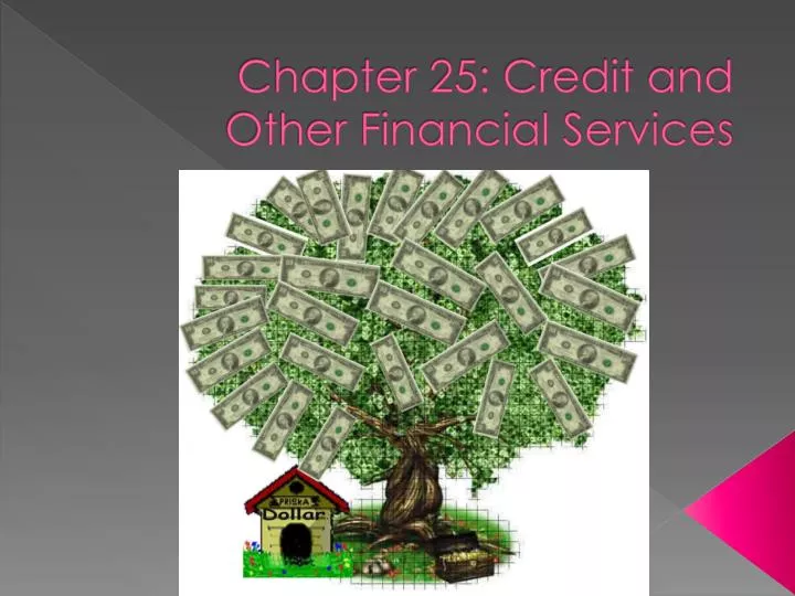 chapter 25 credit and other financial services