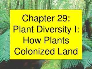 Chapter 29: Plant Diversity I: How Plants Colonized Land