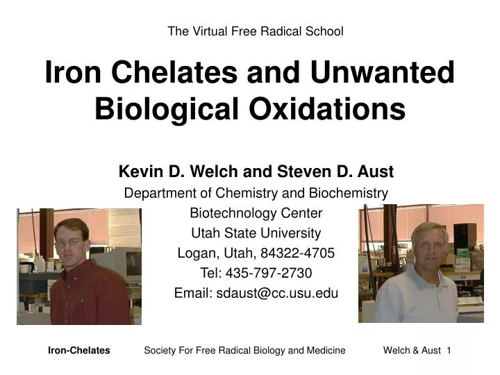 iron chelates and unwanted biological oxidations