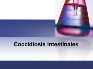 Coccidiosis intestinales