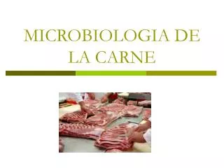 MICROBIOLOGIA DE LA CARNE