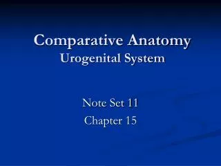 Comparative Anatomy Urogenital System