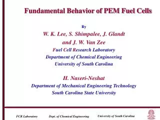 By W. K. Lee, S. Shimpalee, J. Glandt and J. W. Van Zee F uel C ell R esearch Laboratory Department of Chemical Engin