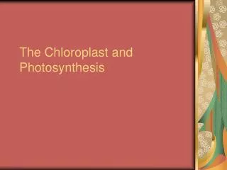 The Chloroplast and Photosynthesis