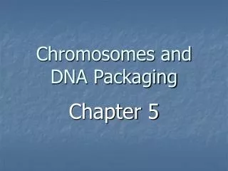 Chromosomes and DNA Packaging
