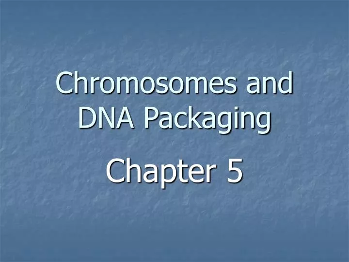 chromosomes and dna packaging