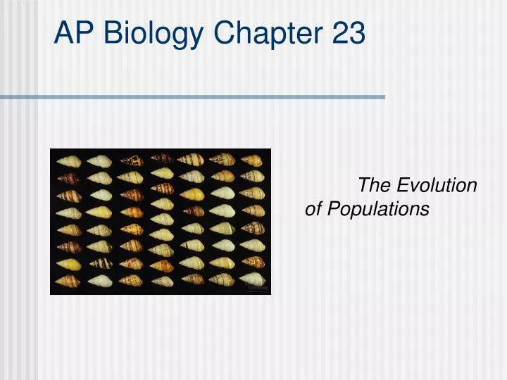 ap biology chapter 23