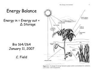 Energy Balance Energy in = Energy out + ? Storage