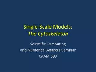 Single-Scale Models: The Cytoskeleton