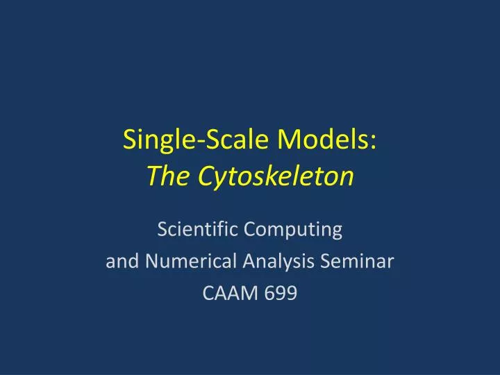single scale models the cytoskeleton