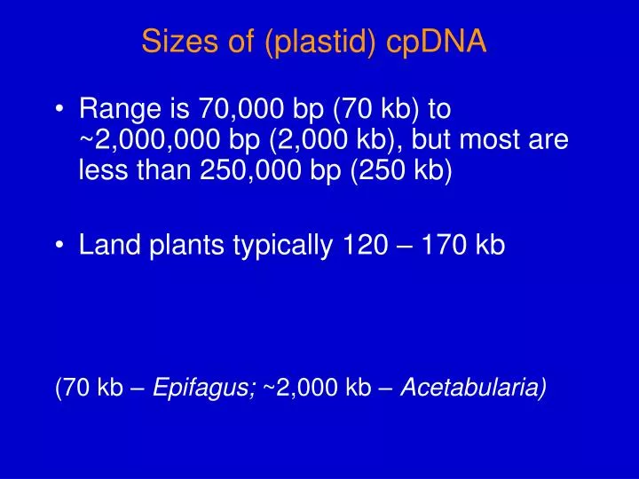sizes of plastid cpdna