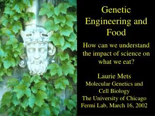 Laurie Mets Molecular Genetics and Cell Biology The University of Chicago Fermi Lab, March 16, 2002