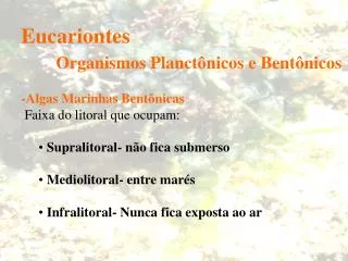 Eucariontes Organismos Planctônicos e Bentônicos -Algas Marinhas Bentônicas Faixa do litoral que ocupam: Supralitoral-