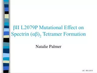 ?II L2079P Mutational Effect on Spectrin (??) 2 Tetramer Formation
