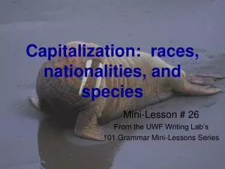Capitalization: races, nationalities, and species