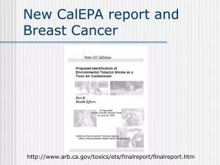 New CalEPA report and Breast Cancer