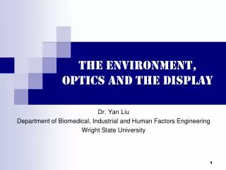 The Environment, Optics and the display