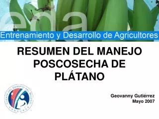 Cosecha y Manejo Postcosecha del Cultivo del Plátano