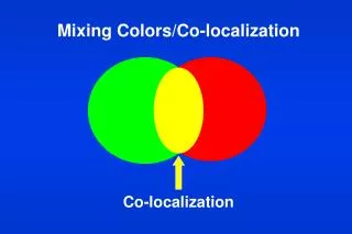Mixing Colors/Co-localization