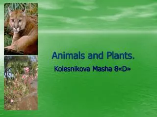 Animals and Plants.