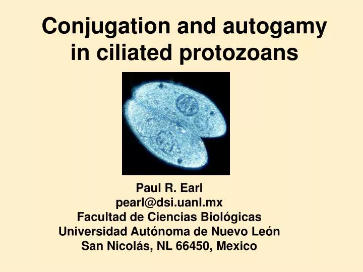conjugation and autogamy in ciliated protozoans