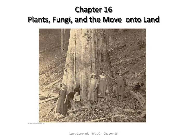 chapter 16 plants fungi and the move onto land