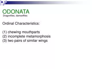 Ordinal Characteristics: (1) chewing mouthparts (2) incomplete metamorphosis (3) two pairs of similar wings
